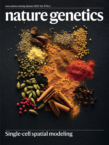 spicemix-cover.jpg